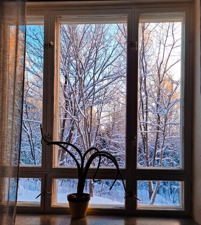 Vanhan Koulun Majatalo-Old School Guest House Kolinkylä Екстериор снимка